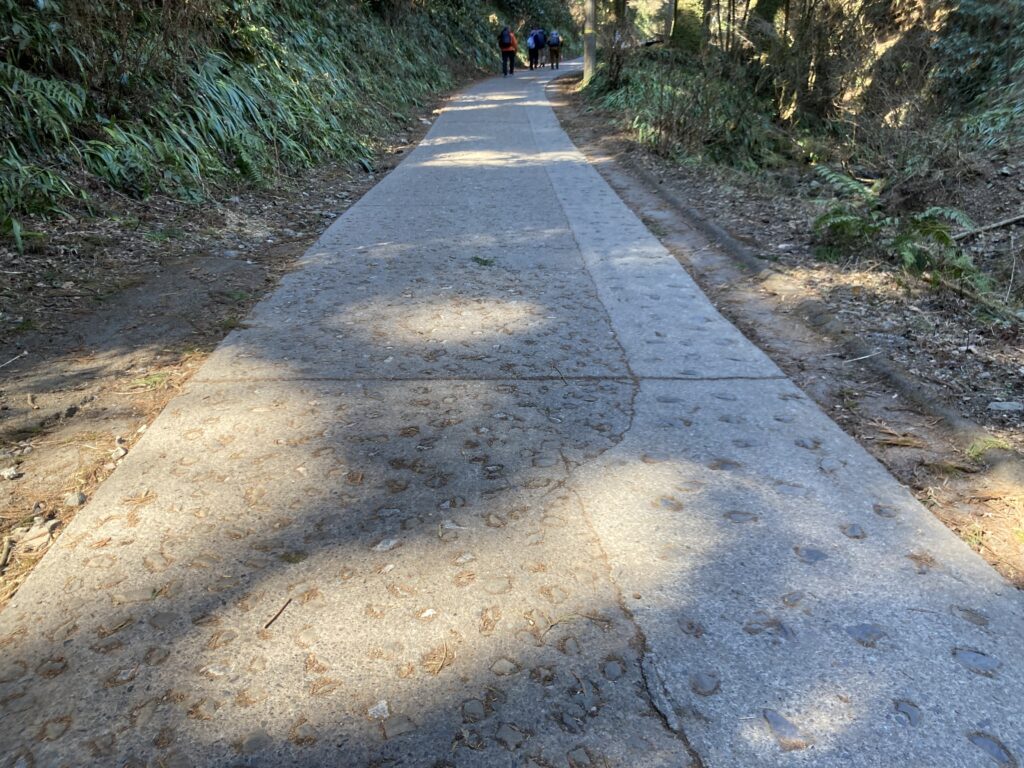 １号路の凸凹した道