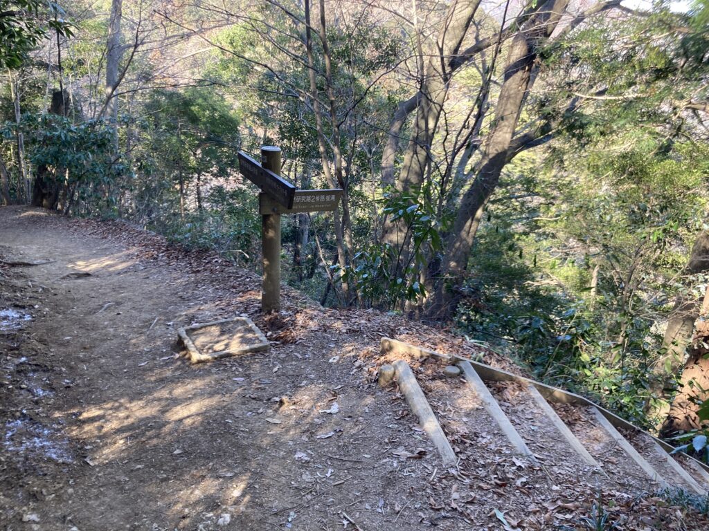 ２号路への分岐